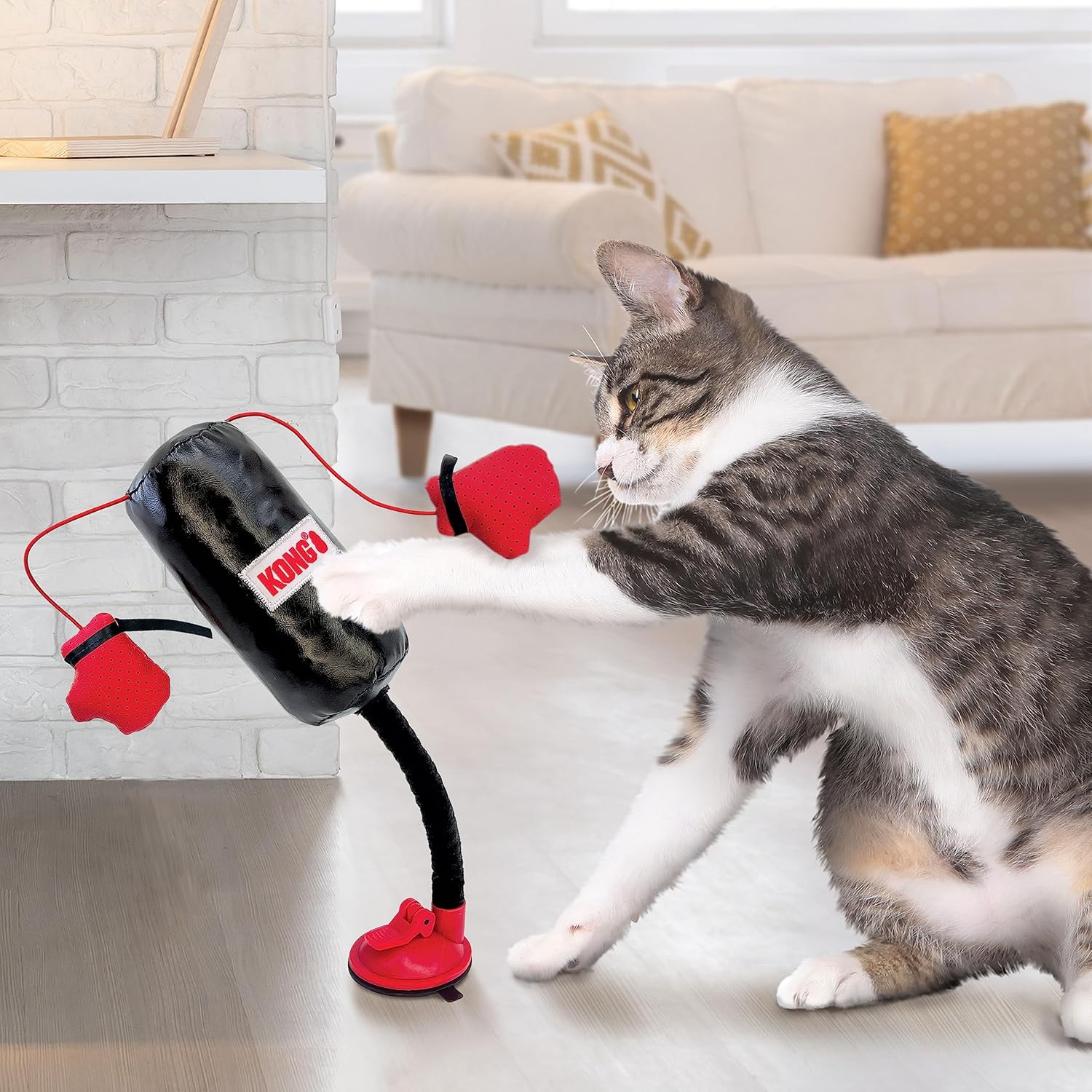 Cat Punching Bag To