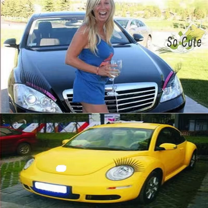 Car Eyelashes