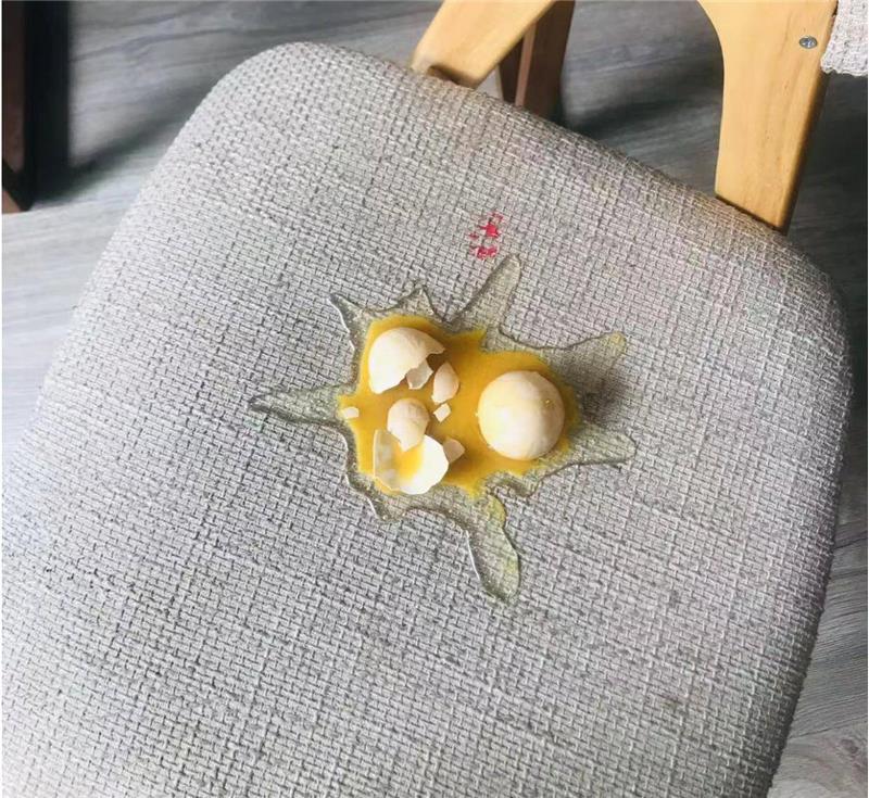 Broken egg phone stand