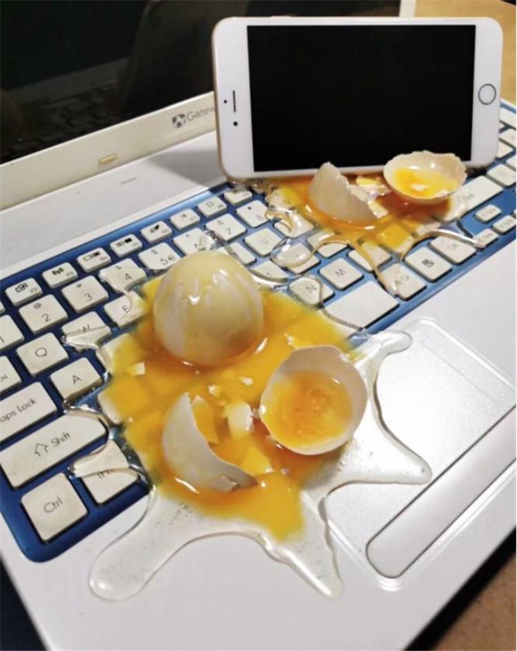 Broken egg phone stand